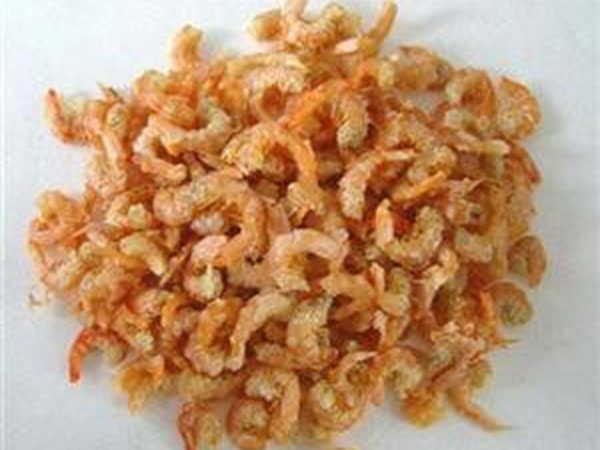 海鮮產品烘干設備